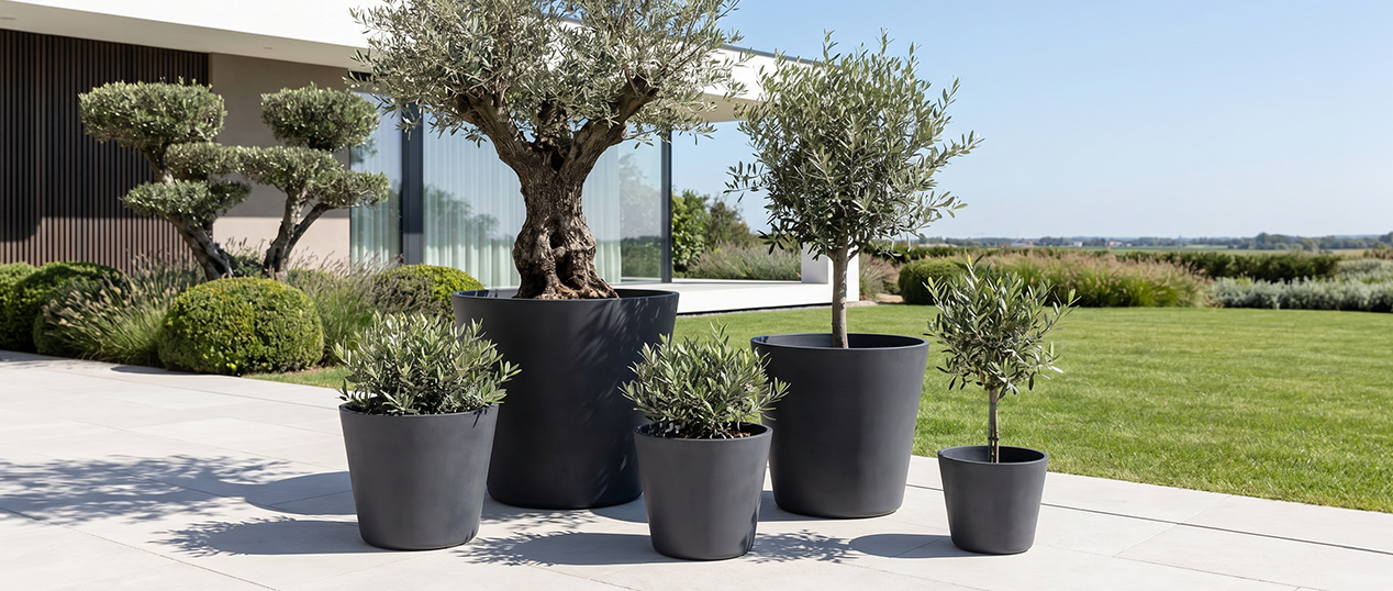 Coleção Vaso Conus em cimento antracite Godinho Concrete Design para terraços e exteriores