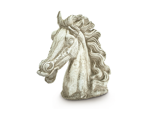 Cabeça de cavalo png