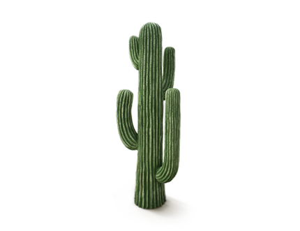 Cacto saguaro 120