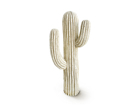 Cacto saguaro 73