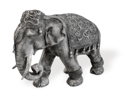 Elefante indiano 60